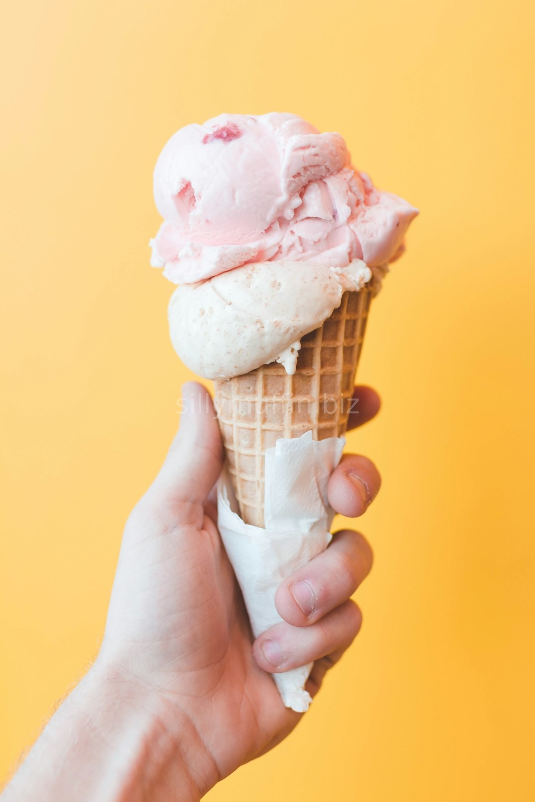 Gourmet Cookies